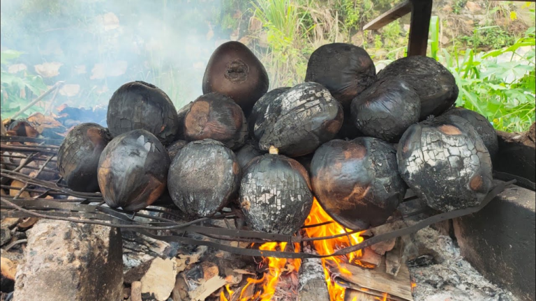 khasiat kelapa muda bakar