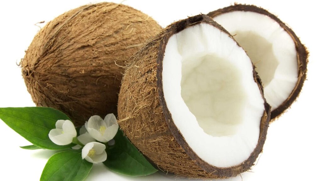 makanan dari kelapa parut