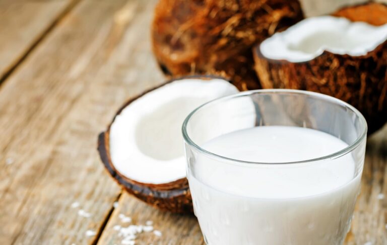 Cara Menjalankan Bisnis Kelapa Santan Untuk Pemula