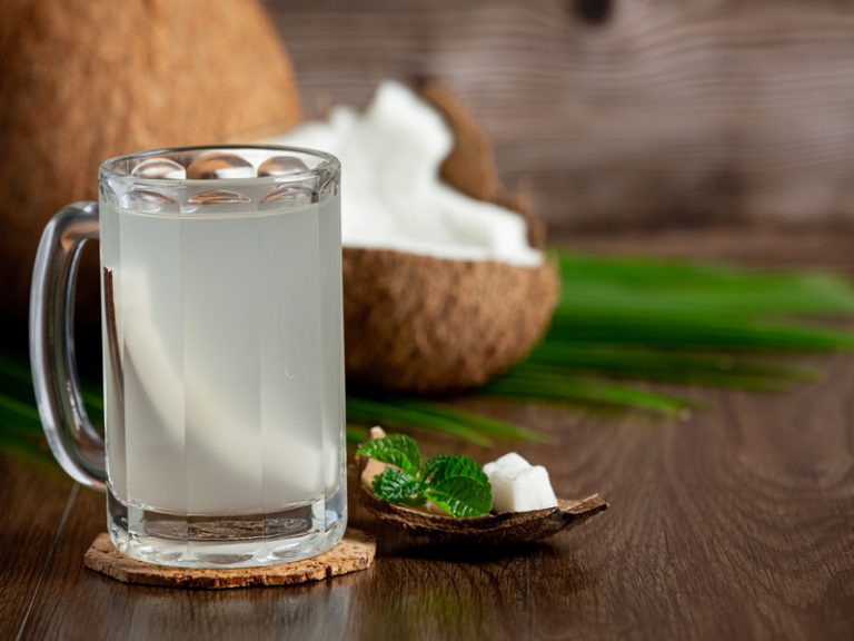 cara usaha es kelapa muda