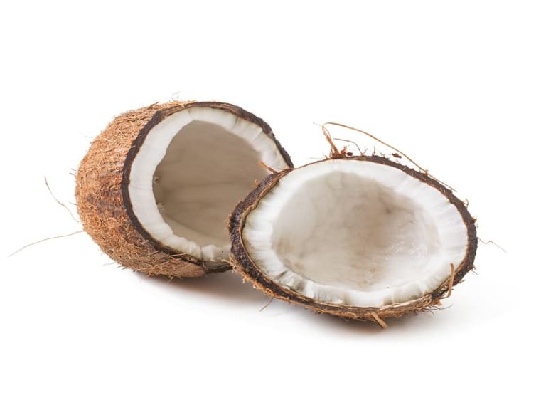 Modal Usaha Kelapa Parut