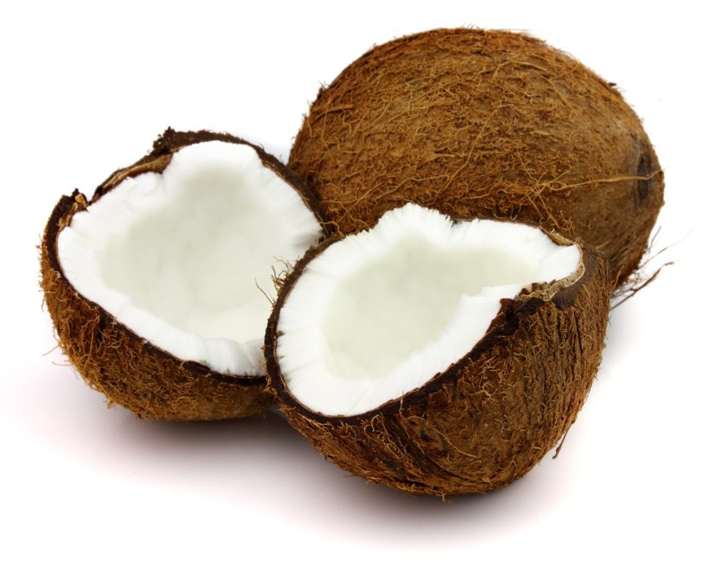 mesin parut kelapa
