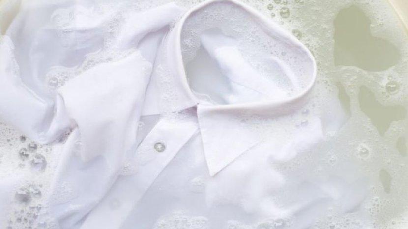 Solusi Agar Kerah Kemeja Tidak Kaku