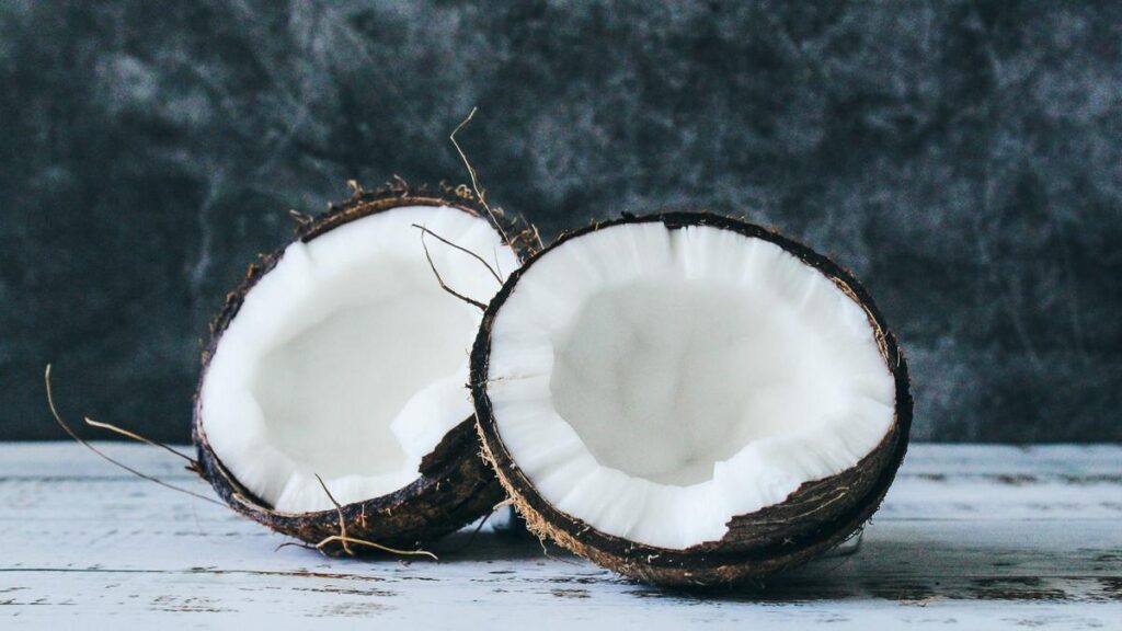 bisnis kelapa parut dan santan