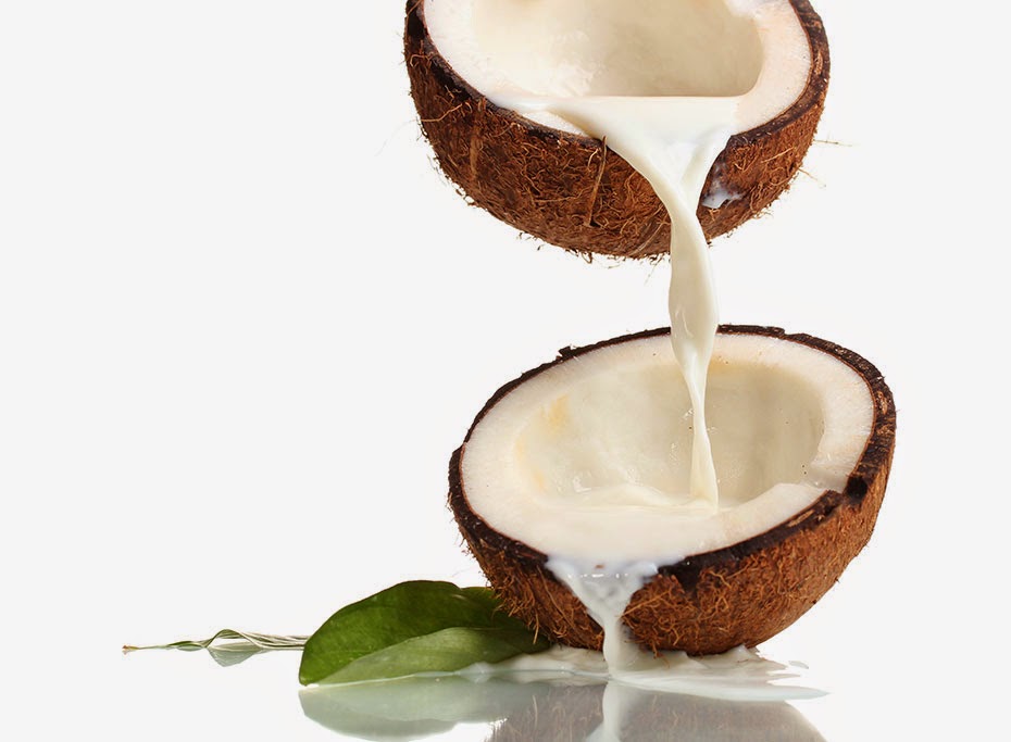 usaha parut kelapa santan