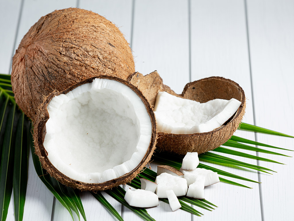 usaha parut kelapa santan