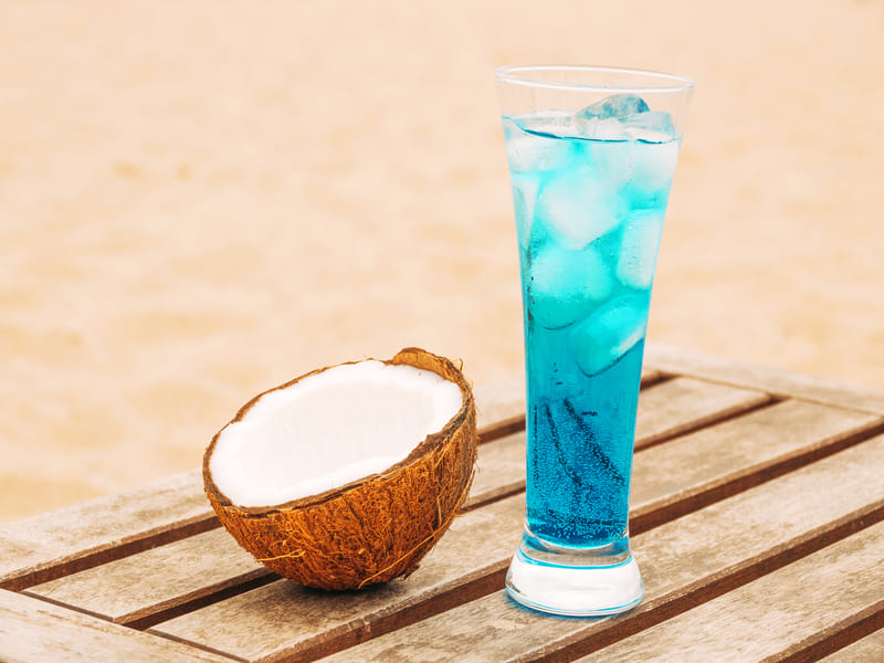 usaha olahan kelapa modal kecil