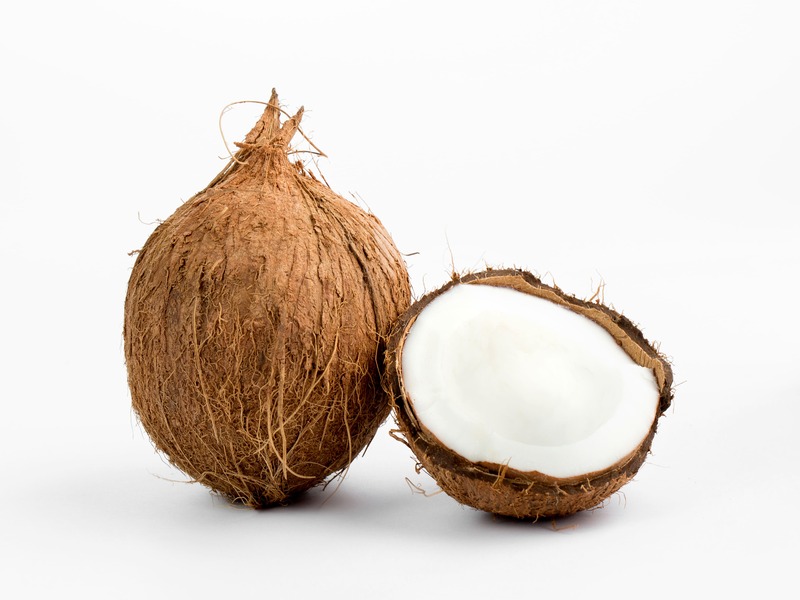 peluang usaha santan kelapa