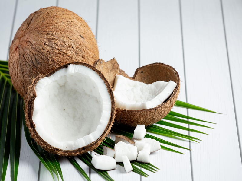 produk olahan kelapa