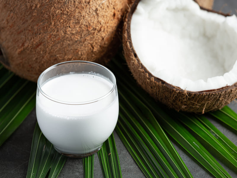 peluang usaha santan kemasan