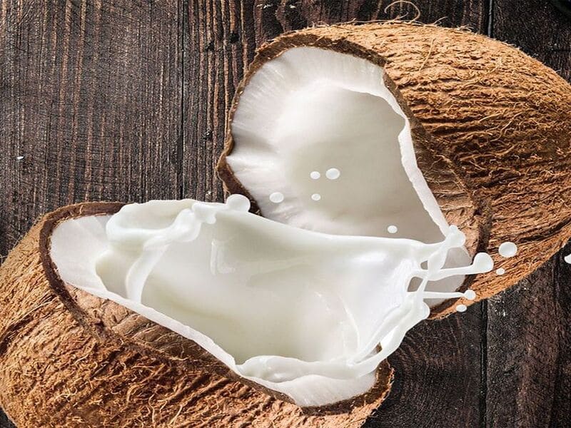 peluang usaha santan kelapa