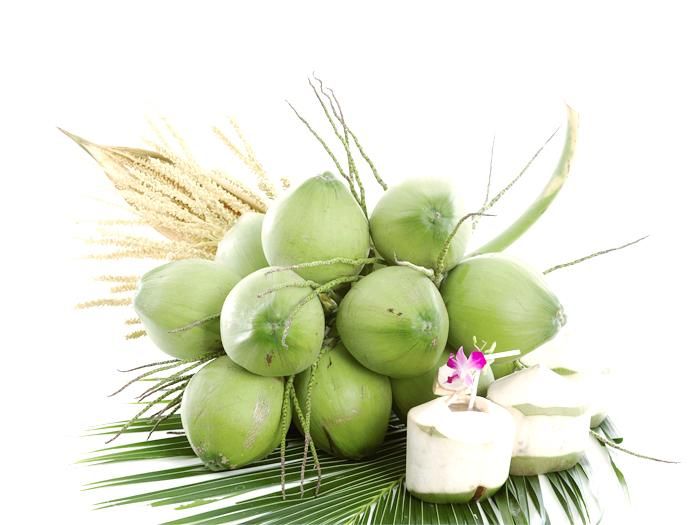 Usaha Rumahan Olahan Kelapa
