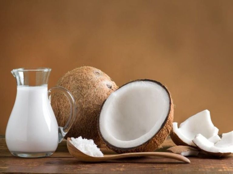usaha rumahan dari kelapa