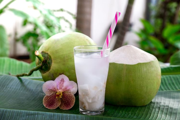 Manfaat buah kelapa
