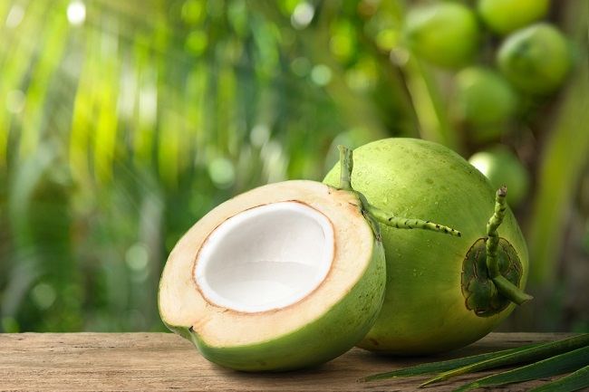 10 Manfaat Buah Kelapa