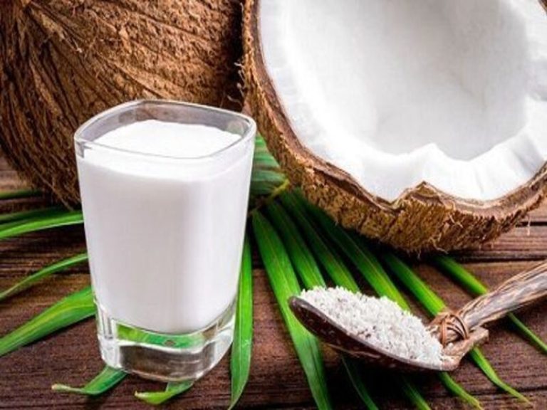 cara usaha santan rumahan