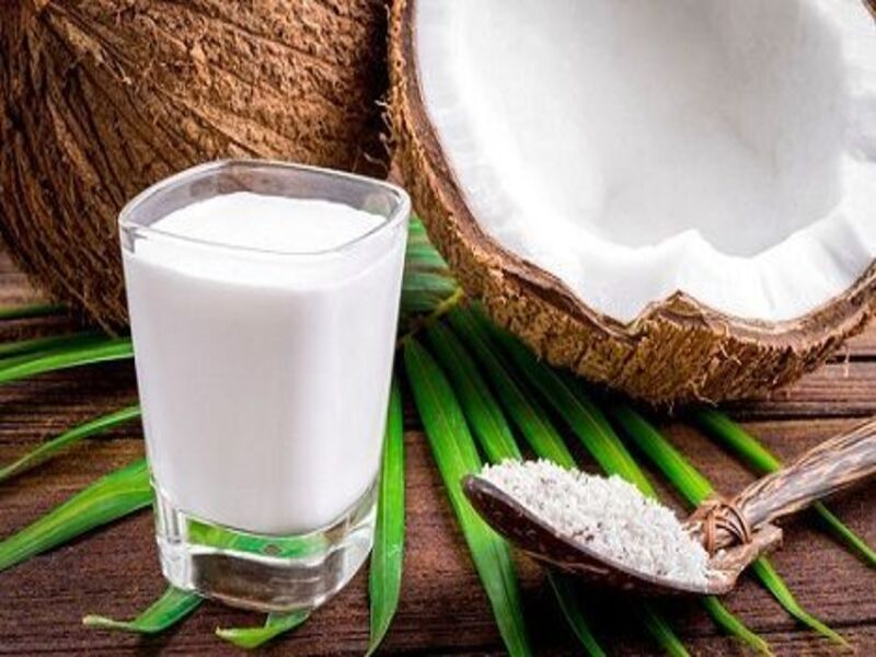 cara usaha santan rumahan