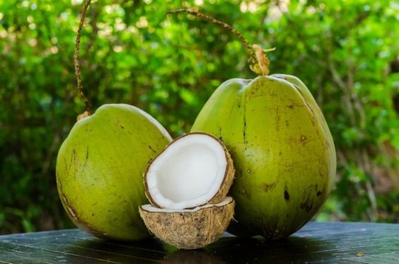 olahan kelapa