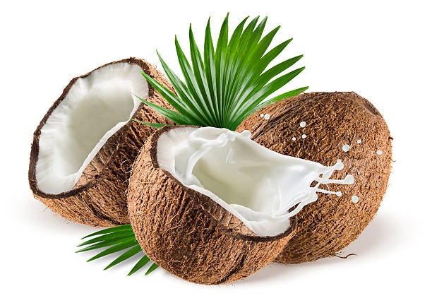 peluang bisnis santan kelapa