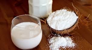 peluang bisnis santan kelapa