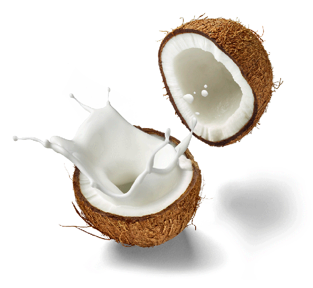 Santan kelapa