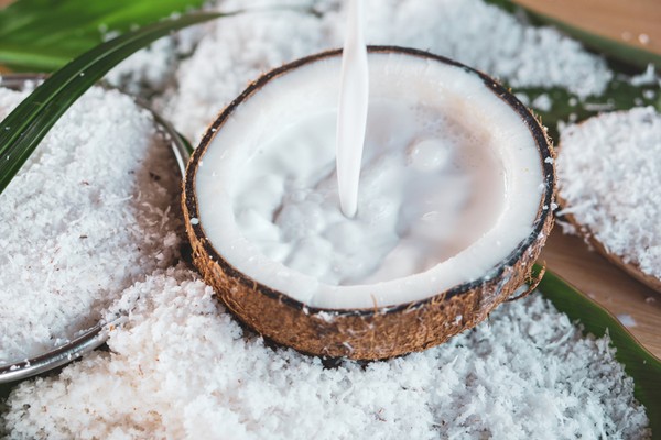peluang bisnis santan kelapa
