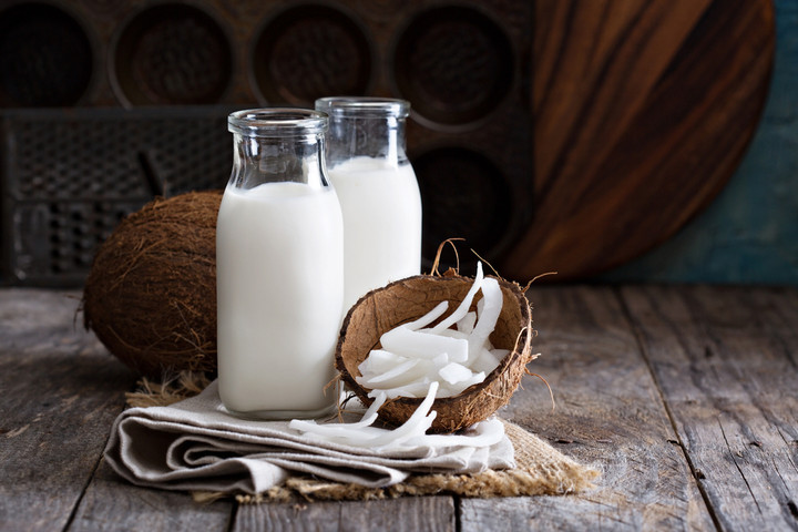 peluang bisnis santan kelapa